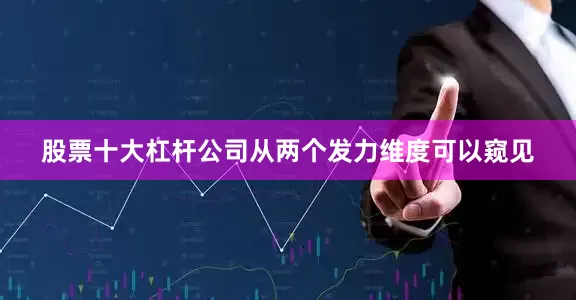 股票十大杠杆公司从两个发力维度可以窥见