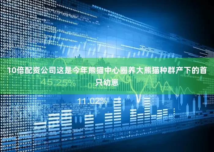 10倍配资公司这是今年熊猫中心圈养大熊猫种群产下的首只幼崽