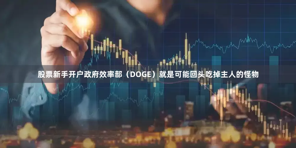 股票新手开户政府效率部（DOGE）就是可能回头吃掉主人的怪物