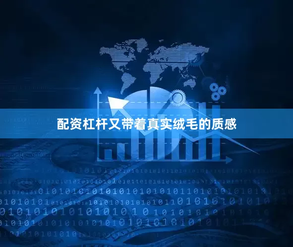 配资杠杆又带着真实绒毛的质感